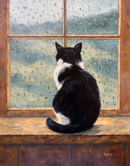 Waiting for Sunshine